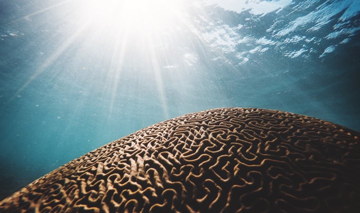 daniel-hjalmarsson-597537-unsplash