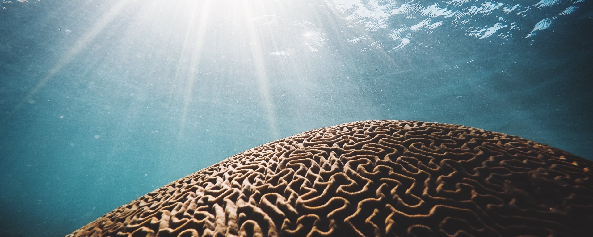 daniel-hjalmarsson-597537-unsplash